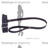 Collar y correa de cuero